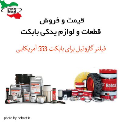 فیلتر مینی لودر بابکت