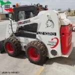 بابکت ایرانی